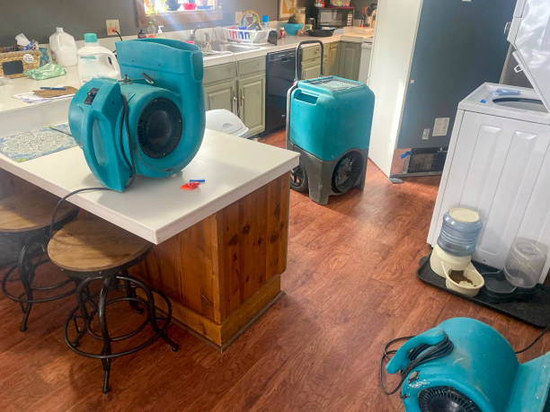 Best Water damage restoration near me  in Center Point, AL