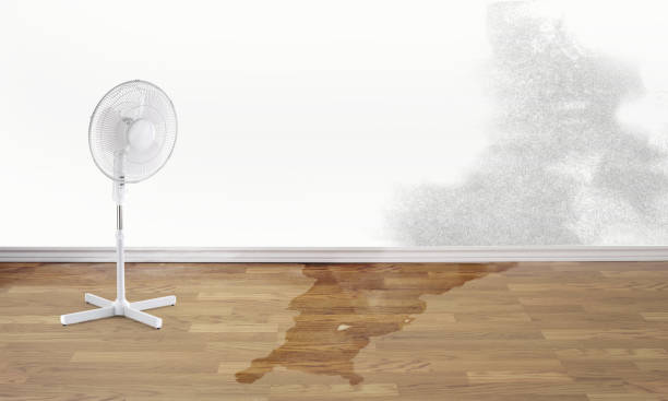 Trusted Center Point, AL Water damage restoration Experts