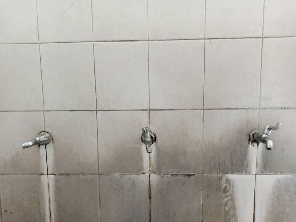 Best Water damage contractors near me  in Center Point, AL