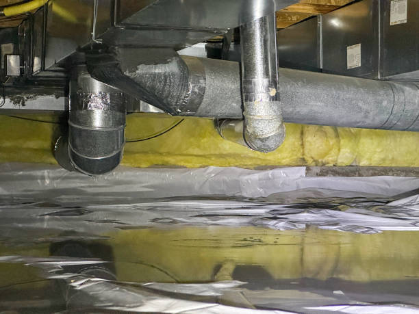 Best Water damage cleanup near me  in Center Point, AL